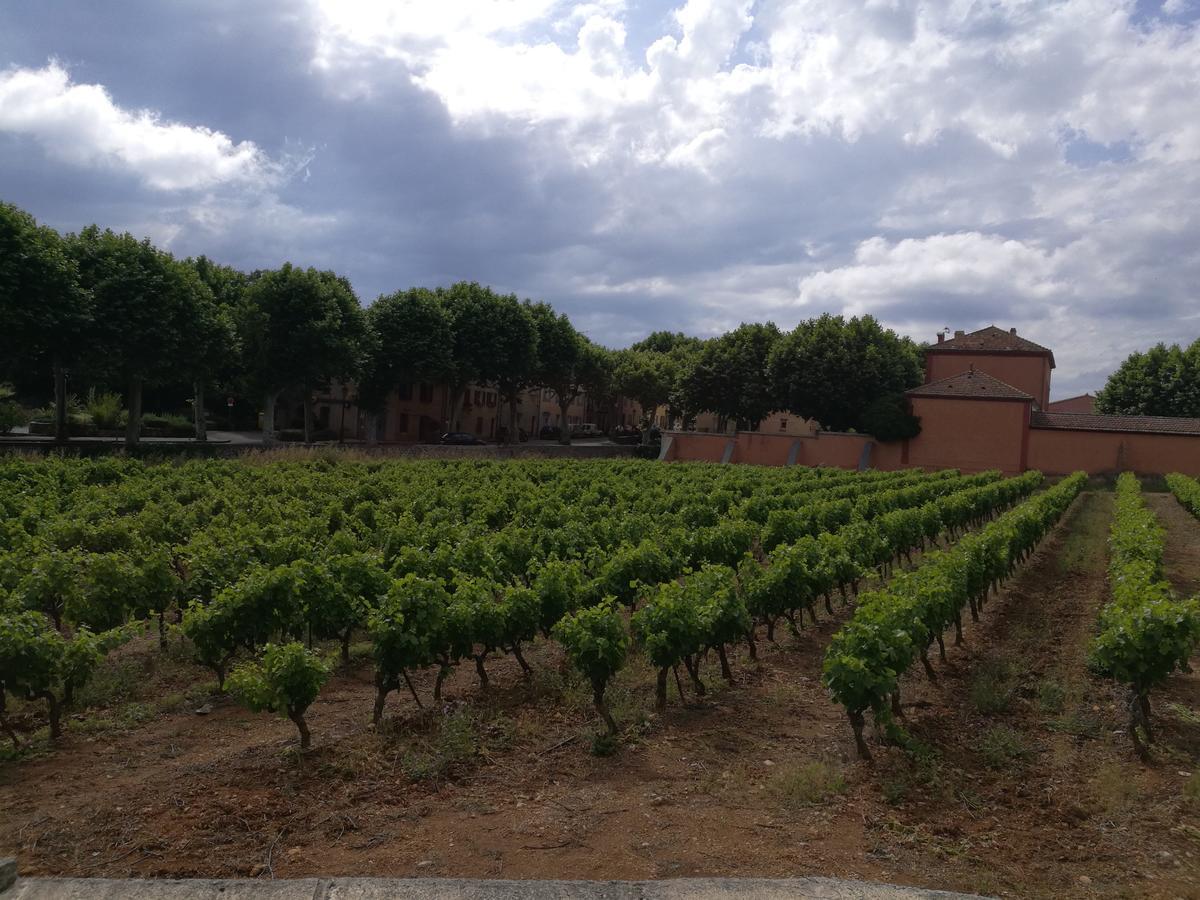 Le Clos Des Medievales Le Thoronet Exterior photo